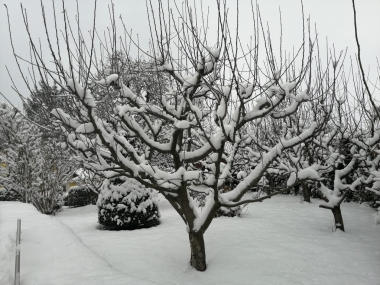 Kasper Vendégház Kőszeg