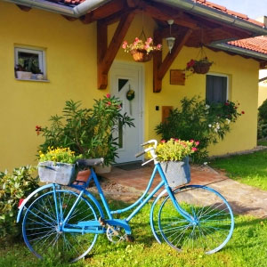 Iratkozzon fel hírlevelünkre!